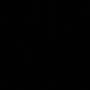 Meet your Posher, Nikaury